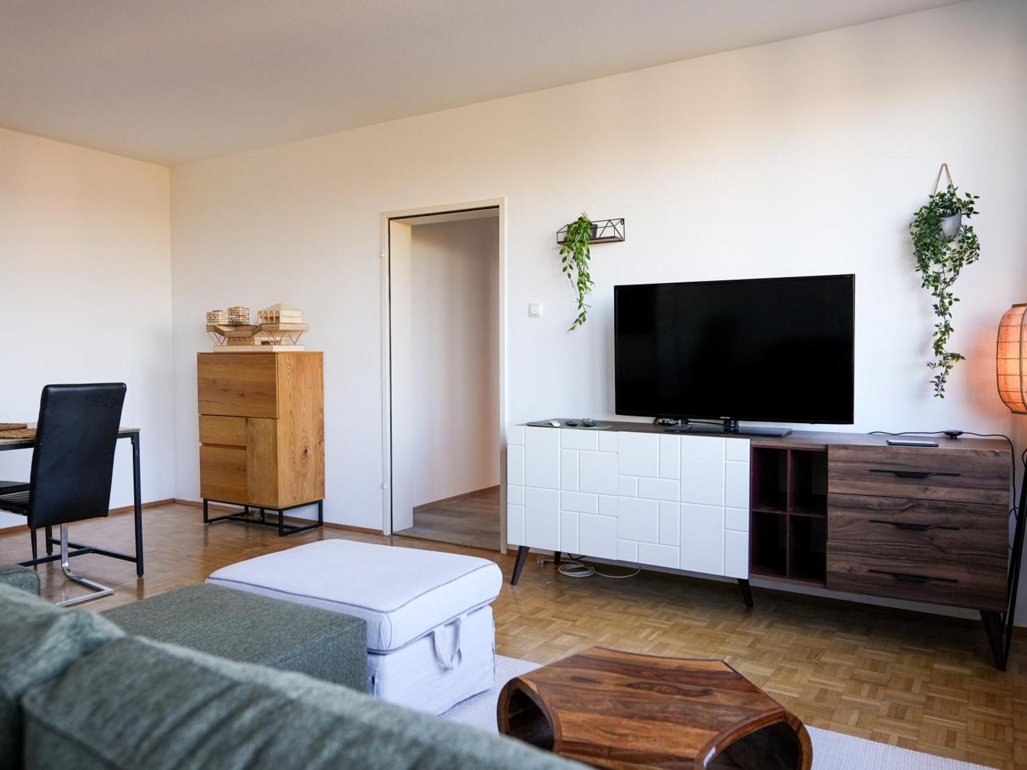 Spacious Apartments With View & Free Parking Wiener Neustadt Buitenkant foto