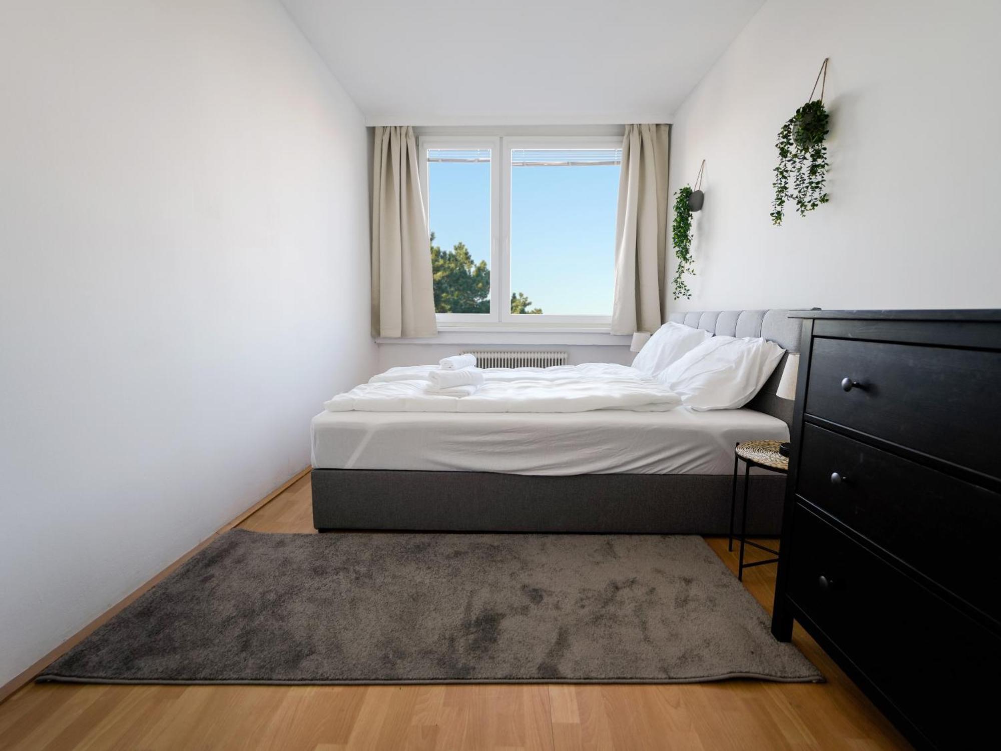 Spacious Apartments With View & Free Parking Wiener Neustadt Buitenkant foto
