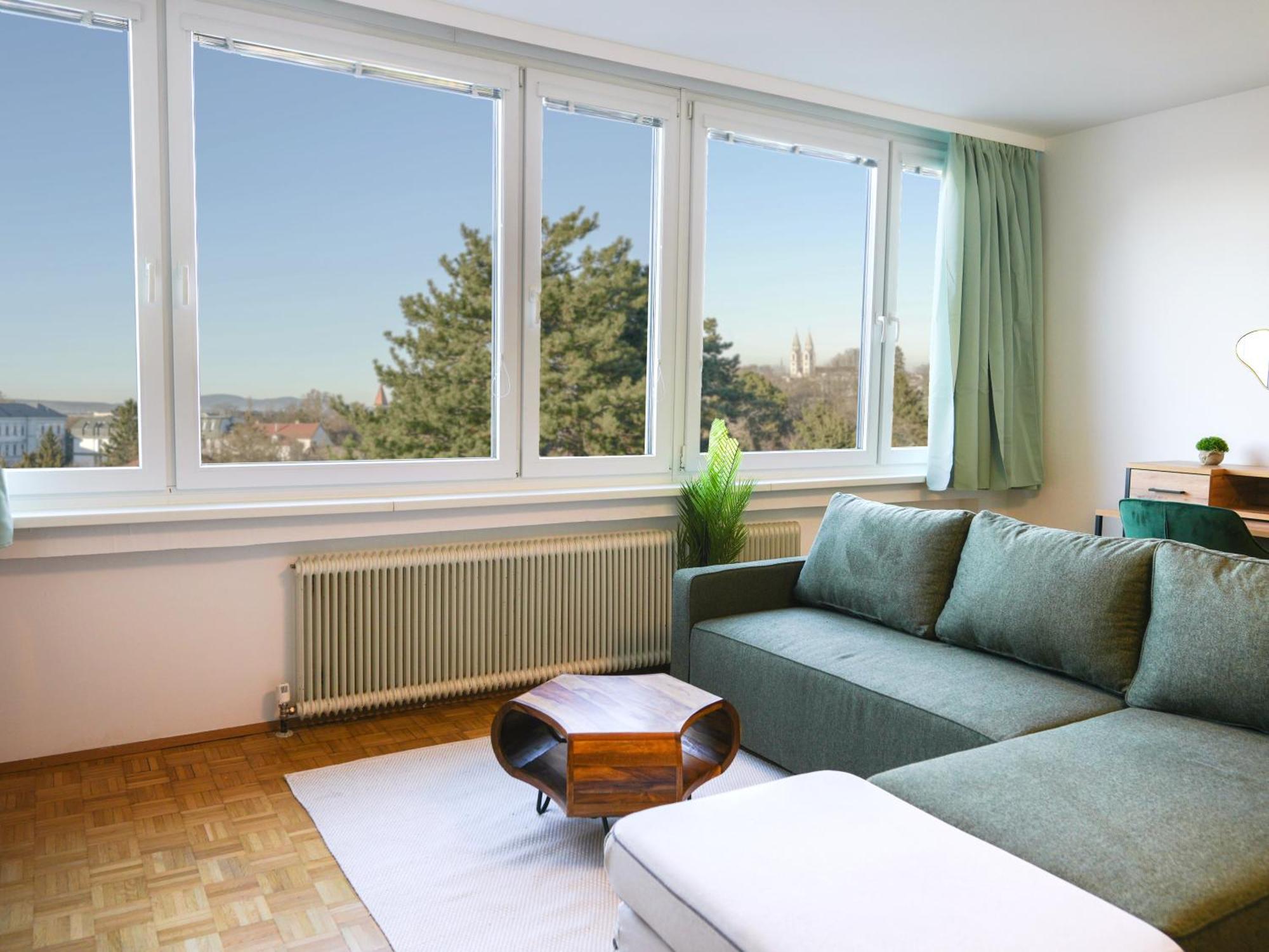 Spacious Apartments With View & Free Parking Wiener Neustadt Buitenkant foto